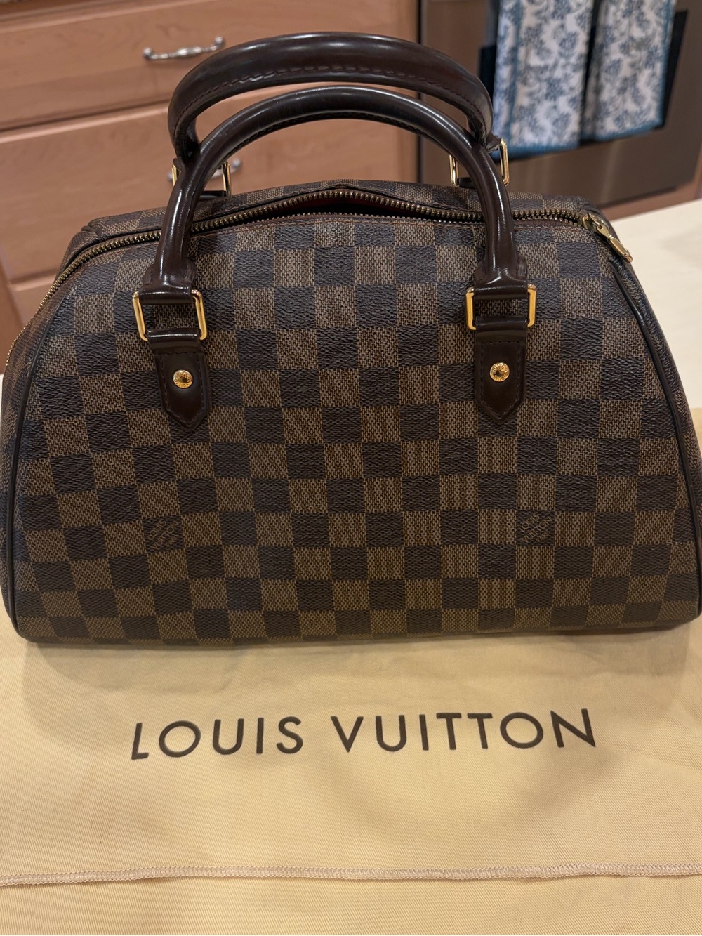 Louis Vuitton Damier Ebene Ribera MM